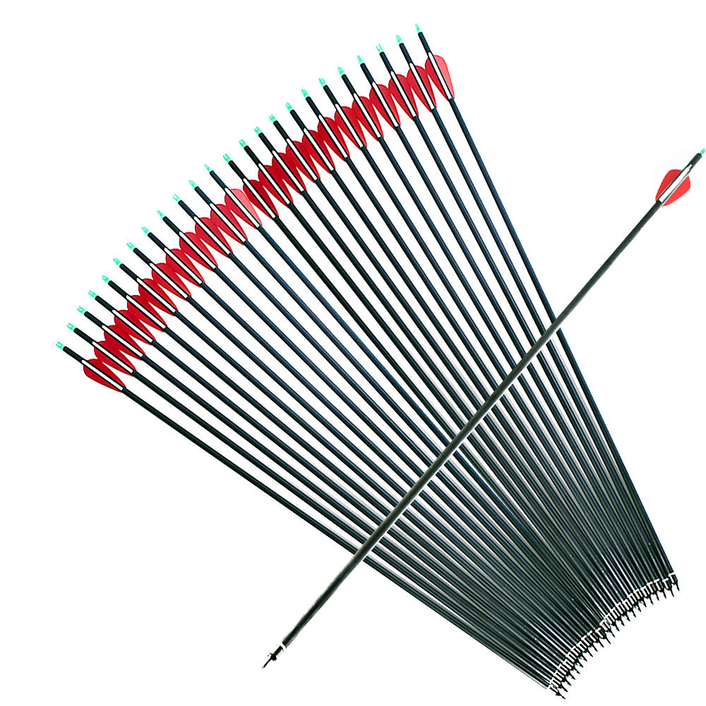 6 SPINE500 carbon arrows (replaceable arrows)