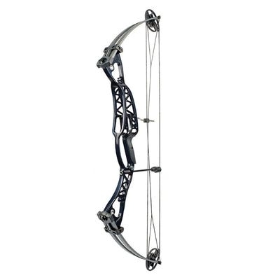 Compound Pulley Bow and Arrow